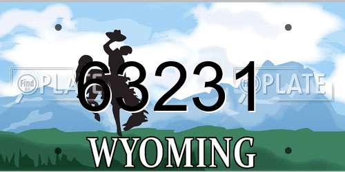 63231 Wyoming License Plate