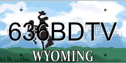 636BDTV Wyoming License Plate