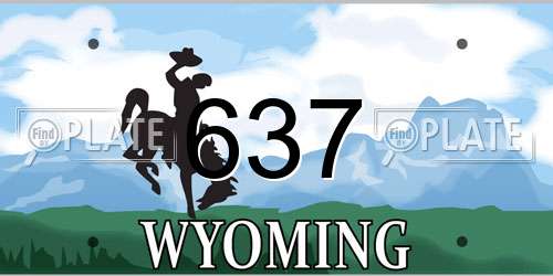 637 Wyoming License Plate