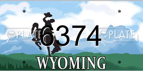 6374 Wyoming License Plate