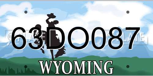 63DO087 Wyoming License Plate