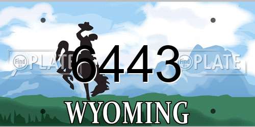 6443 Wyoming License Plate