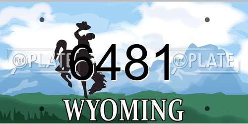 6481 Wyoming License Plate