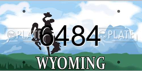 6484 Wyoming License Plate