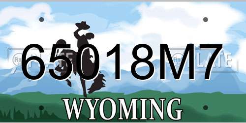 65018M7 Wyoming License Plate