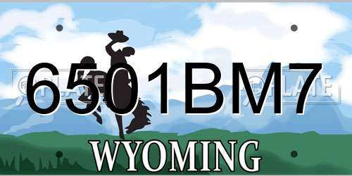 6501BM7 Wyoming License Plate