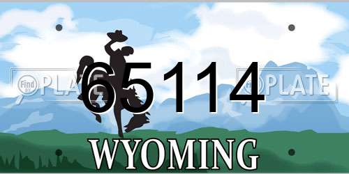 65114 Wyoming License Plate