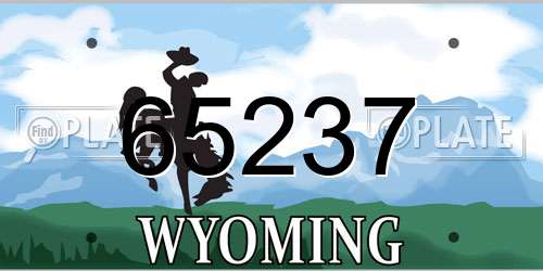 65237 Wyoming License Plate