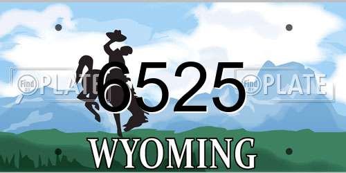 6525 Wyoming License Plate
