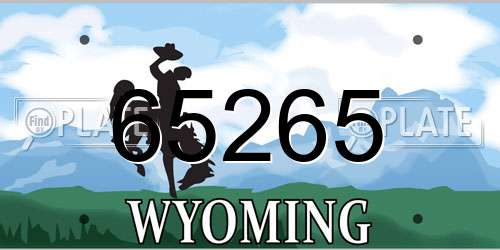 65265 Wyoming License Plate