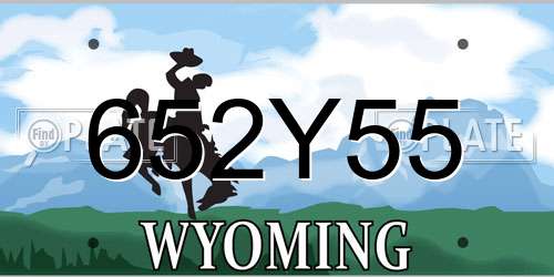 652Y55 Wyoming License Plate