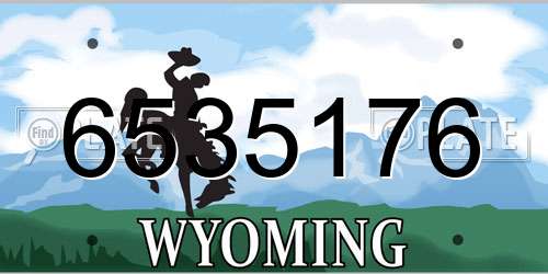 6535176 Wyoming License Plate