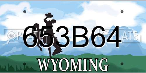 653B64 Wyoming License Plate