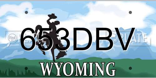 653DBV Wyoming License Plate