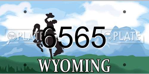 6565 Wyoming License Plate