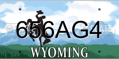 656AG4 Wyoming License Plate