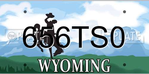 656TS0 Wyoming License Plate