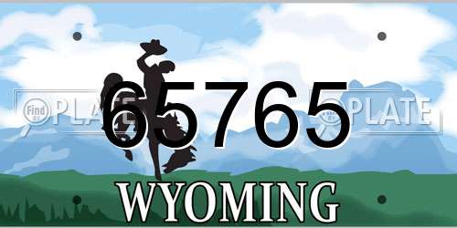 65765 Wyoming License Plate