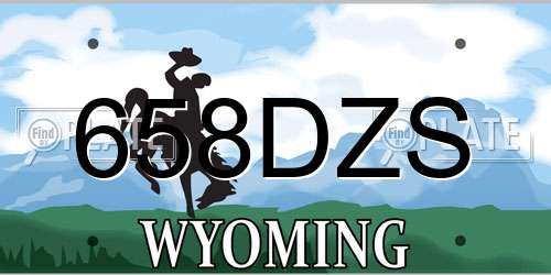 658DZS Wyoming License Plate