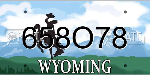 658O78 Wyoming License Plate
