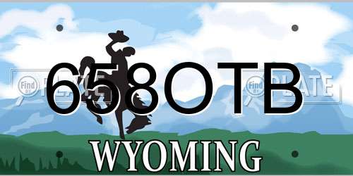 658OTB Wyoming License Plate