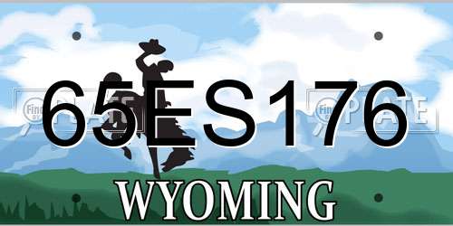 65ES176 Wyoming License Plate