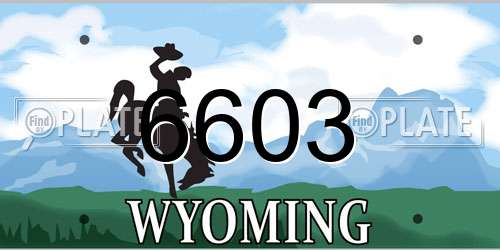 6603 Wyoming License Plate