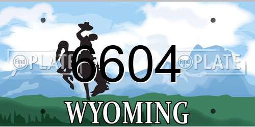 6604 Wyoming License Plate
