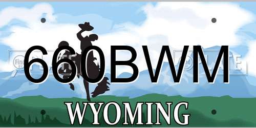 660BWM Wyoming License Plate