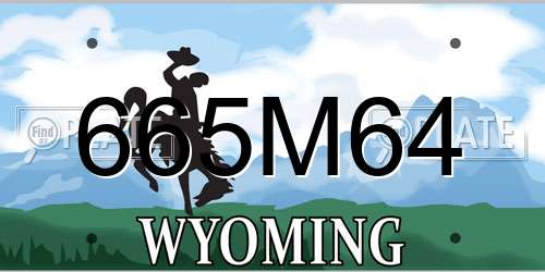 665M64 Wyoming License Plate
