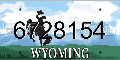 6728154 Wyoming License Plate