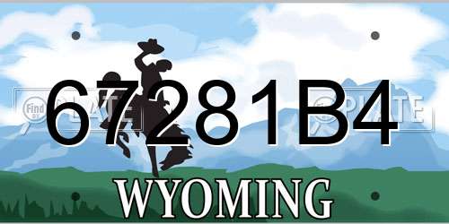 67281B4 Wyoming License Plate