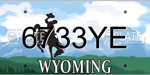 6733YE Wyoming License Plate