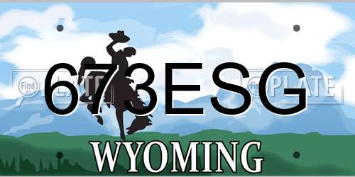 673ESG Wyoming License Plate