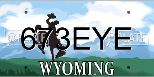 673EYE Wyoming License Plate