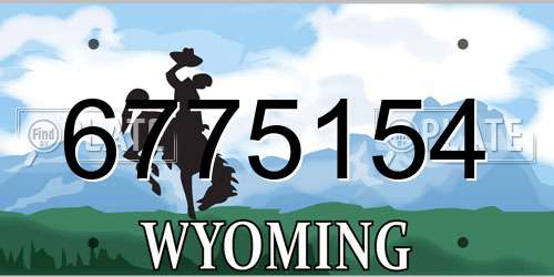 6775154 Wyoming License Plate