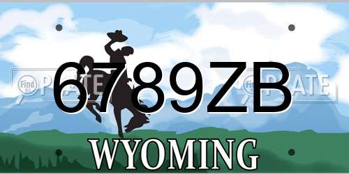 6789ZB Wyoming License Plate