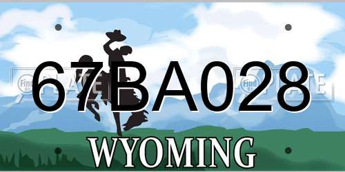 67BA028 Wyoming License Plate