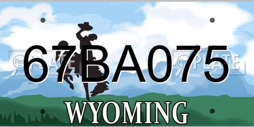 67BA075 Wyoming License Plate