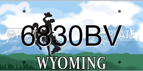 6830BV Wyoming License Plate
