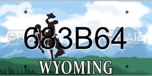 683B64 Wyoming License Plate
