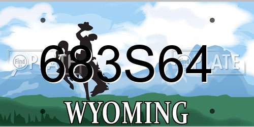 683S64 Wyoming License Plate