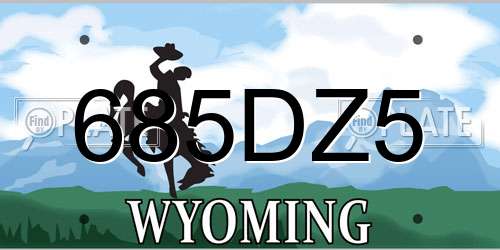 685DZ5 Wyoming License Plate