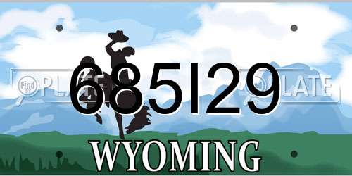 685I29 Wyoming License Plate