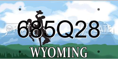 685Q28 Wyoming License Plate