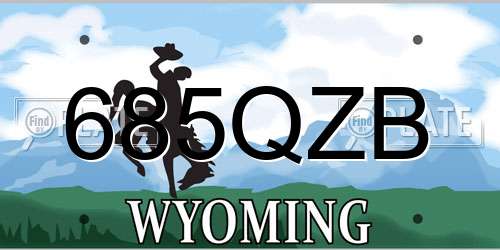 685QZB Wyoming License Plate