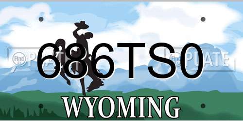 686TS0 Wyoming License Plate