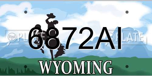 6872AI Wyoming License Plate