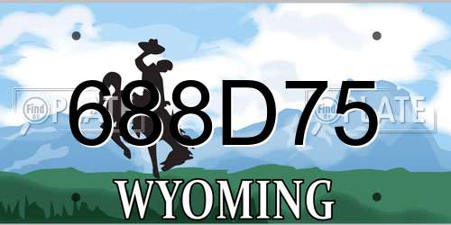 688D75 Wyoming License Plate
