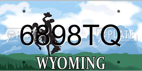 6898TQ Wyoming License Plate